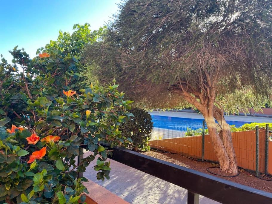 Cozy Apartment With Large Terrace Next To The Pool La Tejita المظهر الخارجي الصورة